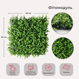 Фитомодуль искусственный "Самшит", 50*50 cм ᐒ купить на  ❤ Like7km.com.ua