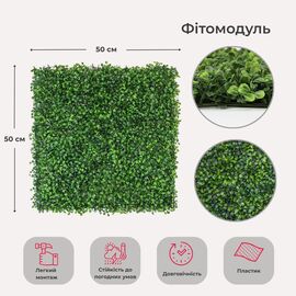 Фитомодуль искусственный "Самшит", 50*50 cм ᐒ купить на  ❤ Like7km.com.ua