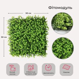 Фитомодуль искусственный "Самшит", 50*50 cм ᐒ купить на  ❤ Like7km.com.ua