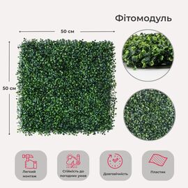Фитомодуль искусственный "Самшит", 50*50 cм ᐒ купить на  ❤ Like7km.com.ua