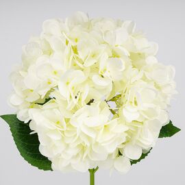 Искусственная гортензия, белая, 67 см, изображение 3 ᐒ купить на  ❤ Like7km.com.ua