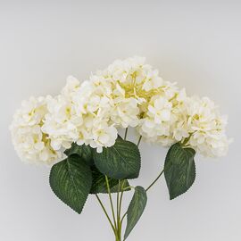 Букет гортензий, 5 бутонов, белый, 44 см, изображение 3 ᐒ купить на  ❤ Like7km.com.ua