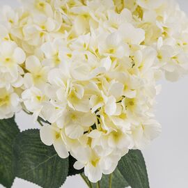 Букет гортензий, 5 бутонов, белый, 44 см, изображение 4 ᐒ купить на  ❤ Like7km.com.ua