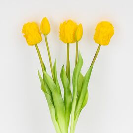 Букет латексных тюльпанов, 5 бутонов, желтый, 44 см, изображение 2 ᐒ купить на  ❤ Like7km.com.ua