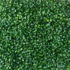 Фитомодуль искусственный "Самшит", 40*60 cм, изображение 2 ᐒ купить на  ❤ Like7km.com.ua