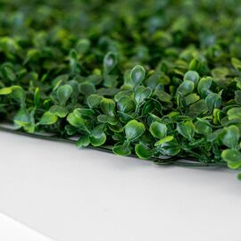 Фитомодуль искусственный "Самшит", 40*60 cм, изображение 4 ᐒ купить на  ❤ Like7km.com.ua