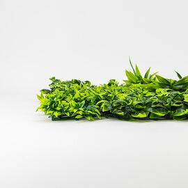 Фитомодуль искусственный "Травяной микс", 40*60 cм, изображение 4 ᐒ купить на  ❤ Like7km.com.ua