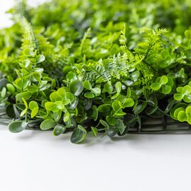 Фитомодуль искусственный "Самшит и папоротник", 50*50 cм, изображение 4 ᐒ купить на  ❤ Like7km.com.ua