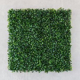 Фитомодуль искусственный "Самшит", 50*50 cм, изображение 2 ᐒ купить на  ❤ Like7km.com.ua