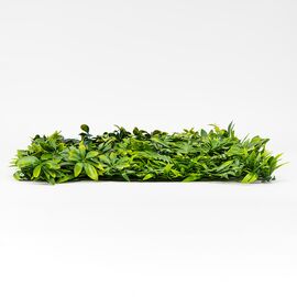 Фитомодуль искусственный "Тропический микс", 50*50 cм, изображение 3 ᐒ купить на  ❤ Like7km.com.ua