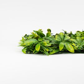 Фитомодуль искусственный "Тропический микс", 50*50 cм, изображение 4 ᐒ купить на  ❤ Like7km.com.ua