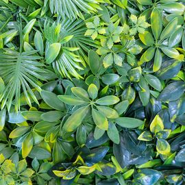 Фитомодуль искусственный "Тропический микс", 50*50 cм, изображение 5 ᐒ купить на  ❤ Like7km.com.ua