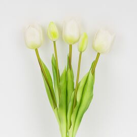 Букет латексных тюльпанов, 5 бутонов, бело-зеленый, 38 см, изображение 2 ᐒ купить на  ❤ Like7km.com.ua