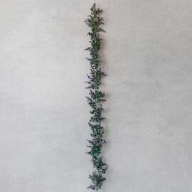 Искусственная гирлянда "Лаванда", 180 см Elisey ᐒ купить на  ❤ Like7km.com.ua
