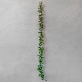 Искусственная гирлянда "Эвкалипт", 180 см ᐒ купить на  ❤ Like7km.com.ua