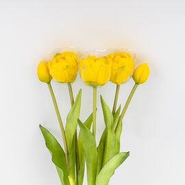 Букет тюльпанов, 5 бутонов, желтый, 39 см, изображение 3 ᐒ купить на  ❤ Like7km.com.ua