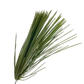 Искусственная тёмно-зелёная ветка "Осока", изображение 2 ᐒ купить на  ❤ Like7km.com.ua