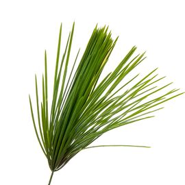 Искусственная зелёная ветка "Осока", изображение 2 ᐒ купить на  ❤ Like7km.com.ua