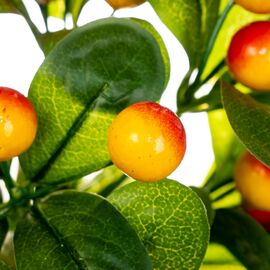 Фруктовая ветка с желтыми ягодами, изображение 2 ᐒ купить на  ❤ Like7km.com.ua