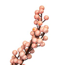 Кизильник Корал Бьюти, розовый 1 м, изображение 3 ᐒ купить на  ❤ Like7km.com.ua