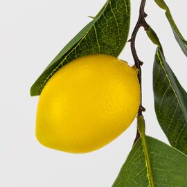 Искусственная гирлянда "Лимоны", 145 см, изображение 4 ᐒ купить на  ❤ Like7km.com.ua