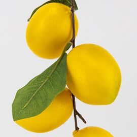 Искусственная гирлянда "Лимоны", 60 см, изображение 3 ᐒ купить на  ❤ Like7km.com.ua