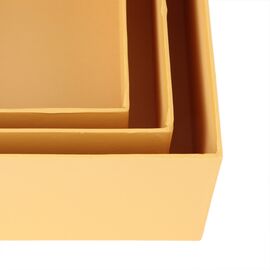 Набор из трех коробок "Весеннее настроение", желтый, изображение 2 ᐒ купить на  ❤ Like7km.com.ua