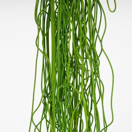 Искусственная свисающая ветка "Тонкие нити", зеленая, 105 см, изображение 3 ᐒ купить на  ❤ Like7km.com.ua