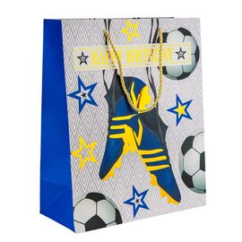 Подарочный пакет "Спортивный дух", 26*32 см * Рандомный выбор дизайна, изображение 3 ᐒ купить на  ❤ Like7km.com.ua