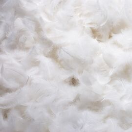 Декоративные перья, белые YOO-HOO!, изображение 2 ᐒ купить на  ❤ Like7km.com.ua