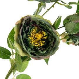 Букет "Полевые пионы зеленые", изображение 2 ᐒ купить на  ❤ Like7km.com.ua