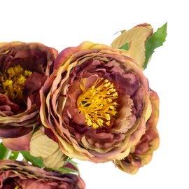 Букет "Полевые пионы светло-розовые", изображение 2 ᐒ купить на  ❤ Like7km.com.ua