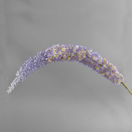 Дельфиниум (150 см), изображение 2 ᐒ купить на  ❤ Like7km.com.ua