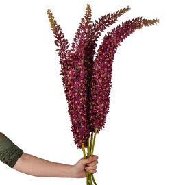 Дельфиниум (150 см), изображение 3 ᐒ купить на  ❤ Like7km.com.ua