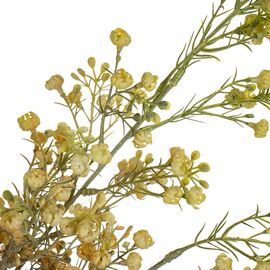 Ветка сухоцвета полевого жёлтая, изображение 3 ᐒ купить на  ❤ Like7km.com.ua