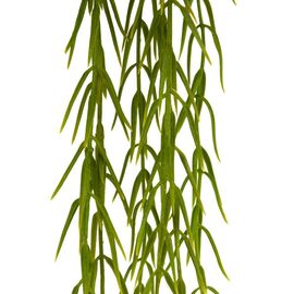 Аспарагус (пластик, 120 см), изображение 2 ᐒ купить на  ❤ Like7km.com.ua