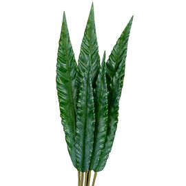 Листья эвкалипта, изображение 2 ᐒ купить на  ❤ Like7km.com.ua