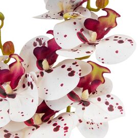Орхидея 56 см. * Рандомный выбор дизайна, изображение 6 ᐒ купить на  ❤ Like7km.com.ua