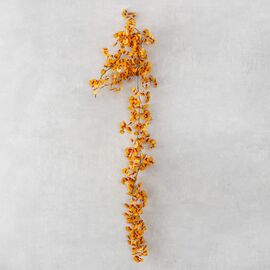 Гирлянда "Золотая пора", 185 см, изображение 2 ᐒ купить на  ❤ Like7km.com.ua