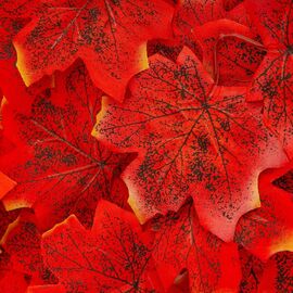 Искусственные кленовые листья "Золотая осень", красные, 250 г, изображение 2 ᐒ купить на  ❤ Like7km.com.ua