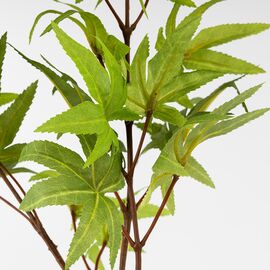 Искусственная ветка "Клен", зеленая, 85 см, изображение 4 ᐒ купить на  ❤ Like7km.com.ua
