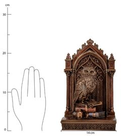 Статуэтка "Мудрая сова" (24 см) VERONESE, изображение 7 ᐒ купить на  ❤ Like7km.com.ua