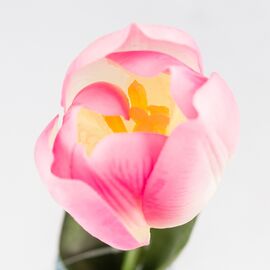 Искусственный тюльпан с эффектом живого прикосновения, кремово-розовый, 45 см, изображение 3 ᐒ купить на  ❤ Like7km.com.ua