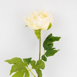 Искусственный пион с эффектом живого прикосновения, кремовый, 60 см, изображение 2 ᐒ купить на  ❤ Like7km.com.ua