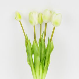 Букет латексных тюльпанов, 5 бутонов, бело-зеленый, 45 см, изображение 2 ᐒ купить на  ❤ Like7km.com.ua