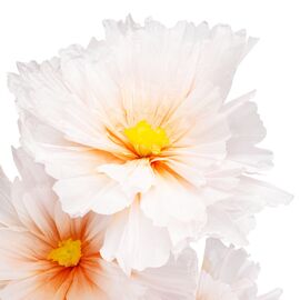 Большие ростовые декоративные цветы на стойке, бело-оранжевые, 165 см, изображение 3 ᐒ купить на  ❤ Like7km.com.ua