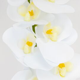 Искусственная орхидея, белая, 57 см, изображение 4 ᐒ купить на  ❤ Like7km.com.ua