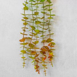 Искусственная свисающая ветвь "Лиана", зелено-оранжевая, 82 см, изображение 3 ᐒ купить на  ❤ Like7km.com.ua
