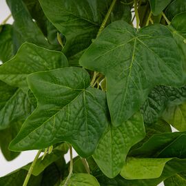 Искусственная свисающая ветка "Плющ", зеленая, 110 см, изображение 5 ᐒ купить на  ❤ Like7km.com.ua