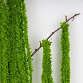 Искусственная свисающая ветка "Амарант", зеленая, 120 см, изображение 3 ᐒ купить на  ❤ Like7km.com.ua